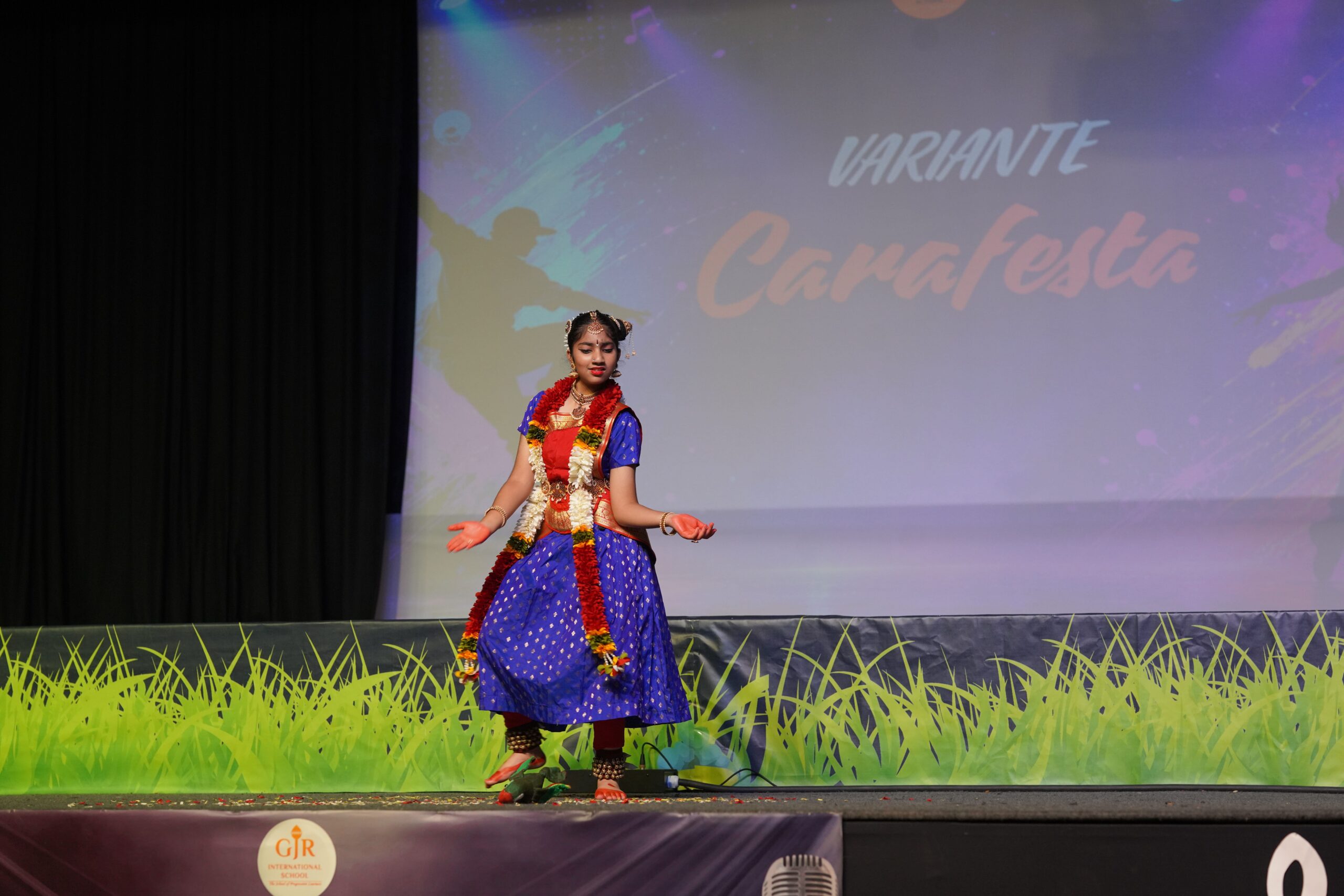 DSC07017 (1)