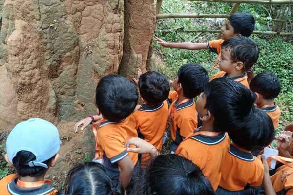 Field trip to Martin’s farm(Pkg & Jkg)