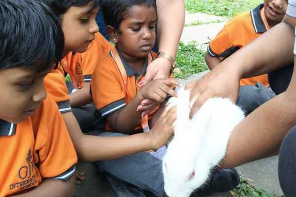 Field trip to Martin’s farm(Pkg & Jkg)