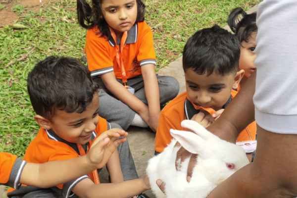 Field trip to Martin’s farm(Pkg & Jkg)