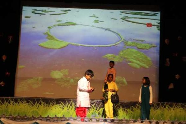 annual day stage act